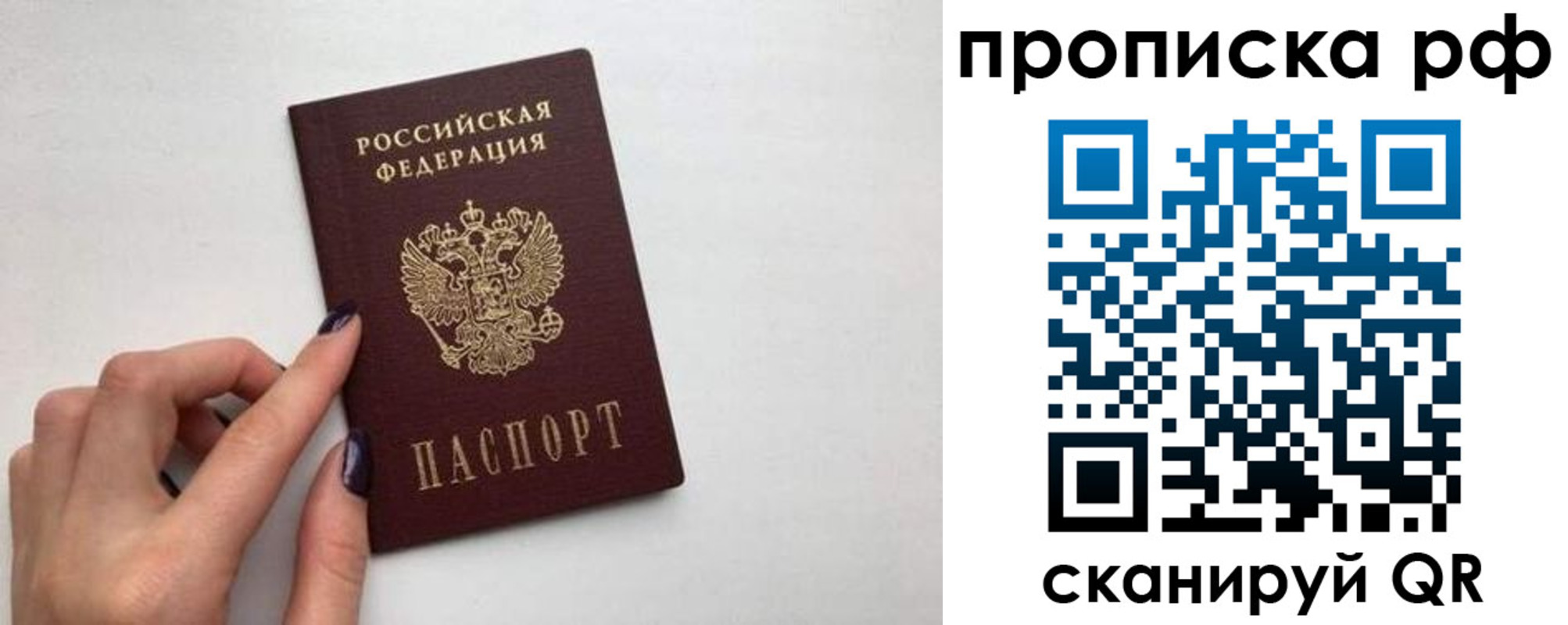 прописка в квартире в Сольцах